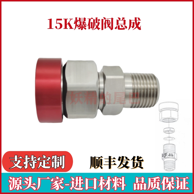 15K爆破阀总成防爆破片支架51035