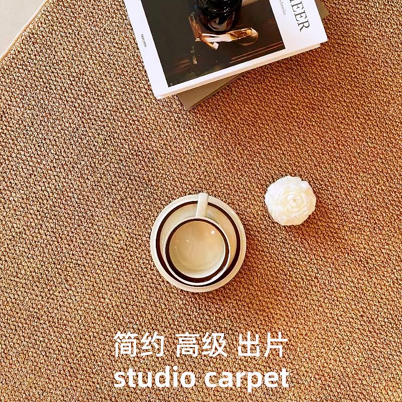 摄影棚专用地毯简约风仿剑麻加厚拍照背景毯高级感卧室客厅大面积