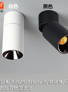 涂鸦ZigBee直连0-10V调光调色明装筒灯2.4G遥控7W12W防眩调光射灯