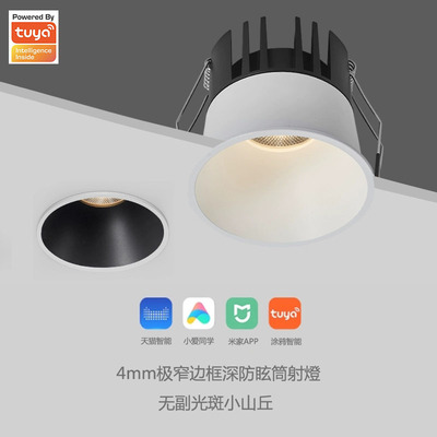 欧瑞博ZigBee米家mesh2.0射灯