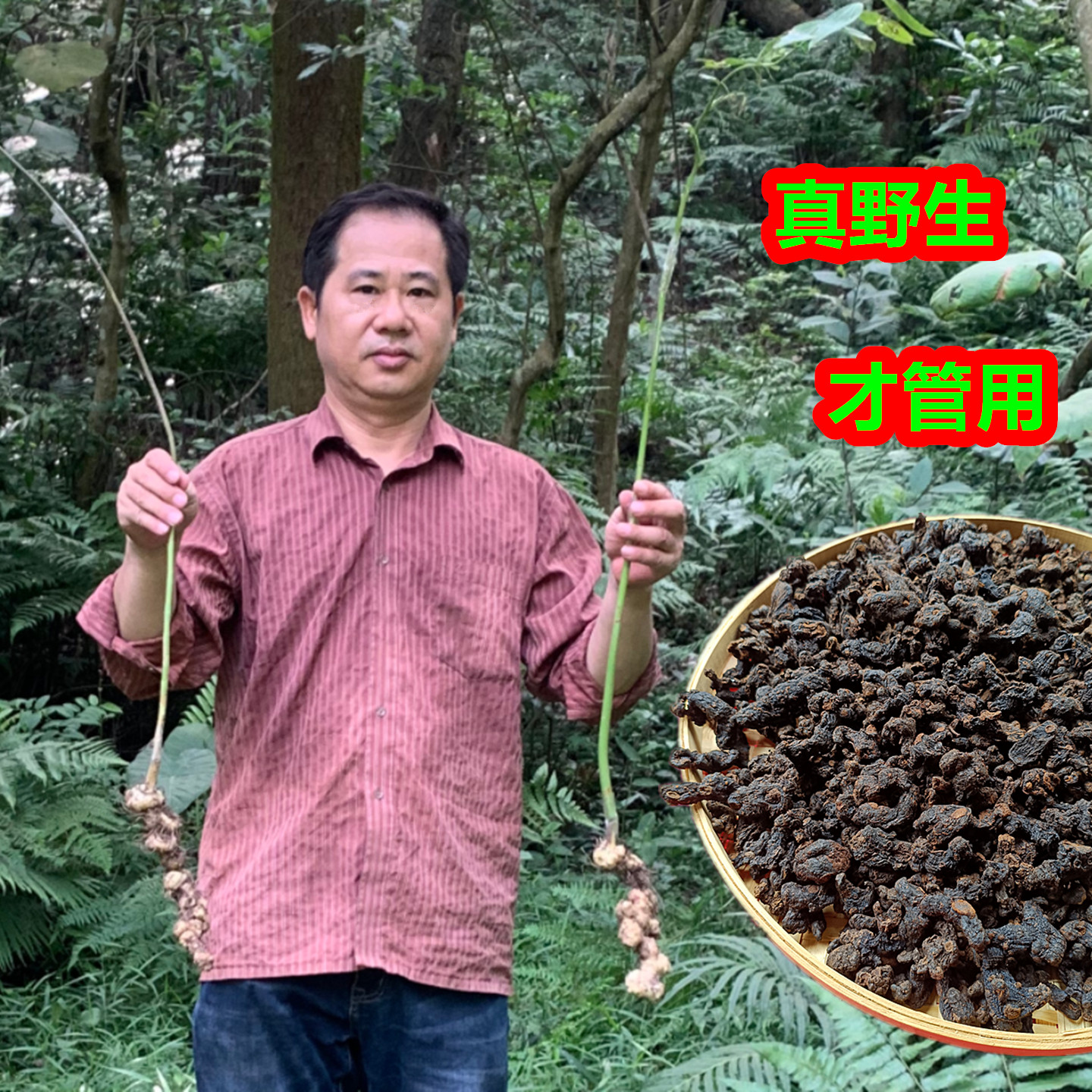 九蒸九晒野生黄精正品新鲜九制干货泡水酒黄精广西多花老虎姜