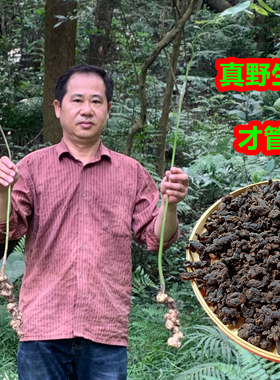 九蒸九晒野生黄精正品新鲜九制干货中药材泡茶泡酒非九华山即食