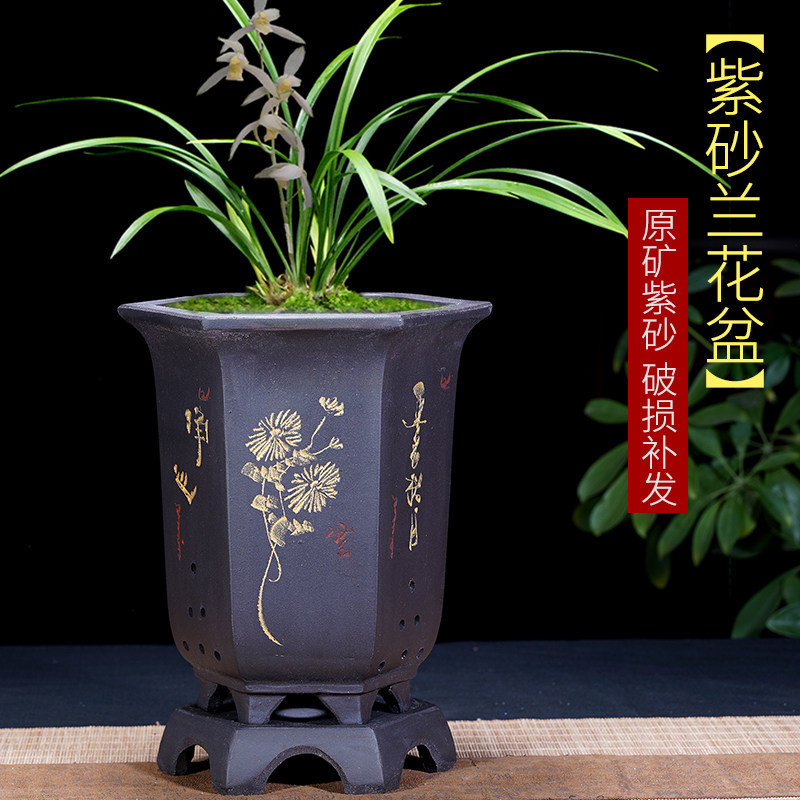 紫砂花盆方形兰花盆君子兰盆兰草专用盆带托盘室内阳台桌面陶瓷盆