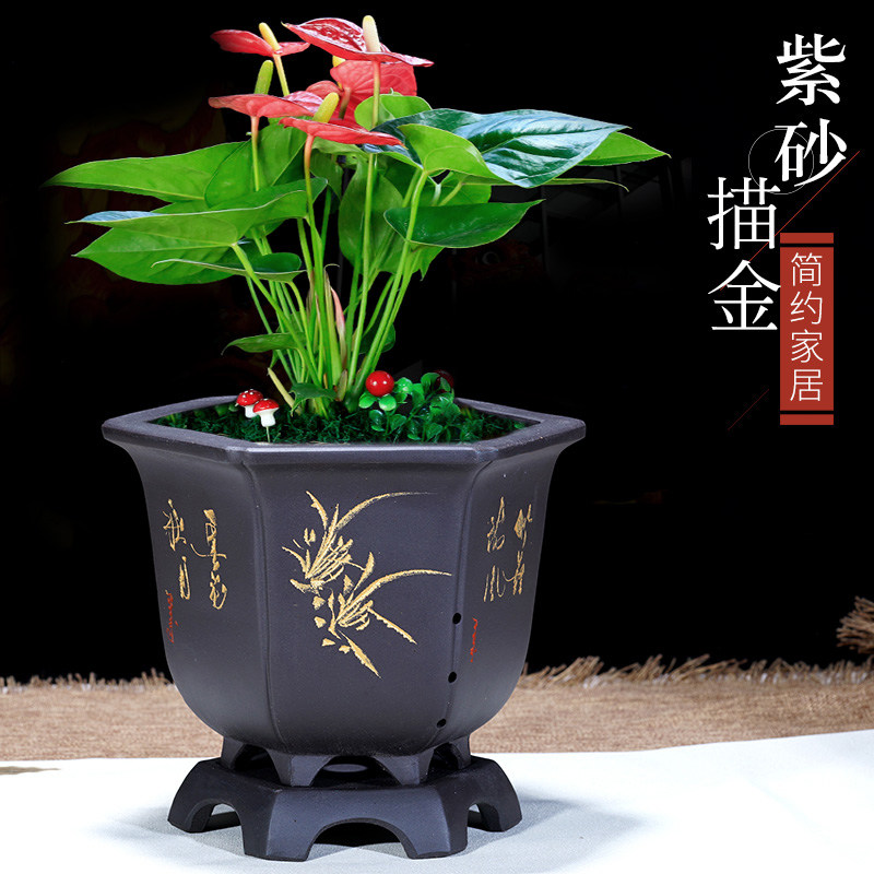 紫砂花盆兰花盆君子兰盆文竹兰草花盆带托盘简约透气植物陶瓷花盆