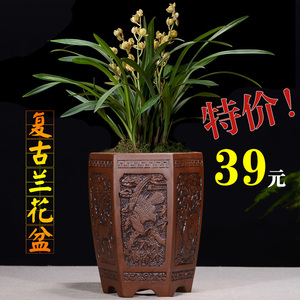中国风紫砂花盆大号兰花盆仿古陶瓷特大号兰草高筒君子兰花专用盆