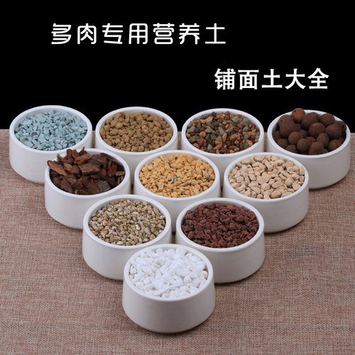 铺面石颗粒土多肉营养土