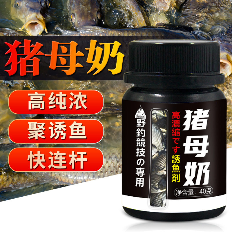 浓缩猪母奶粉黑坑秋冬低温罗非鲫鲤钓鱼饵料窝料垂钓聚诱食开口剂