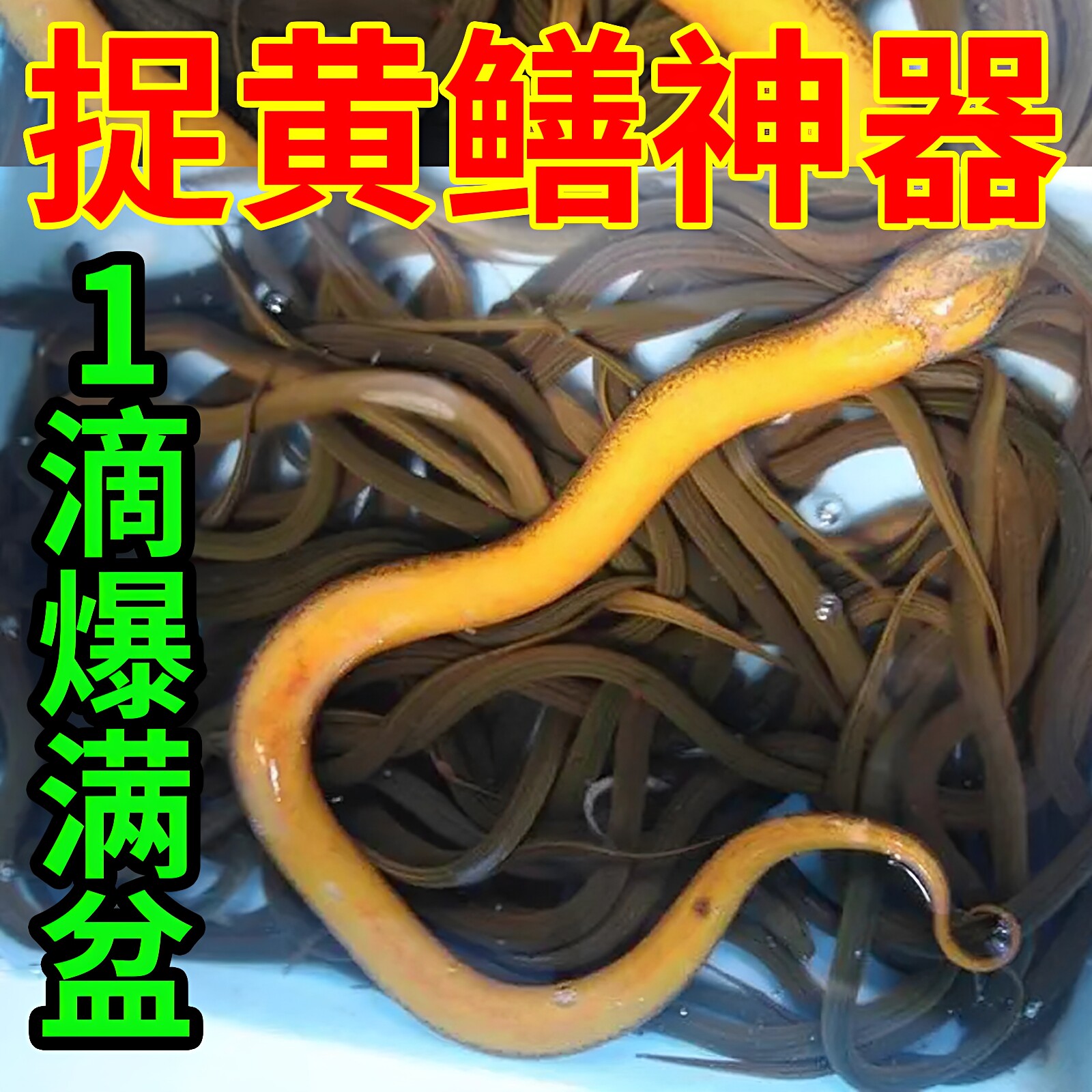 谷道香擒鳝王捉黄鳝黑坑野钓虾类鳖类泥鳅黄鳝钓鱼小药饵料添加剂