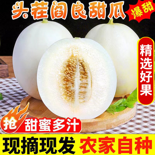 现摘陕西阎良甜瓜新鲜水果应季白皮香瓜脆甜蜜瓜当季孕妇水果整箱