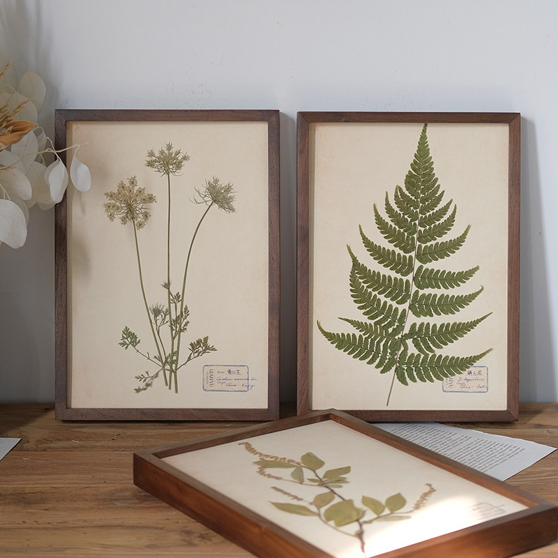 实木相框植物标本装饰画中草药科普花卉挂画中古复古北欧简约风格