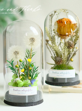 芊蒂玻璃罩现代摆件简约复古书房