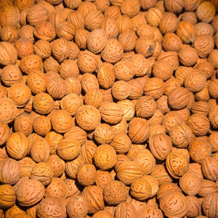 山西中条山野生原生态天然山桃核颈椎健康按摩枕背部拍打袋填充物