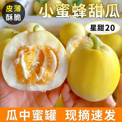 山东头茬早甜脆甜瓜香瓜新鲜脆瓜水果星甜小蜜蜂甜瓜蜜罐整箱包邮