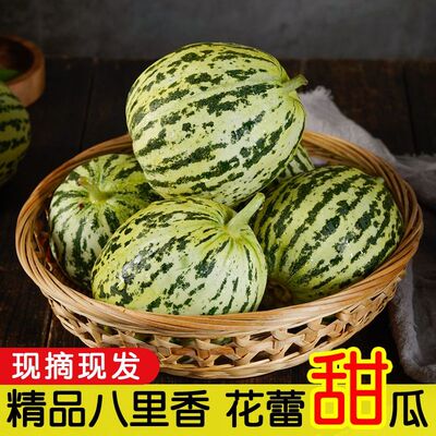 山东花美人甜瓜头茬当季新鲜水果现摘脆瓜香瓜蜜瓜花蕾瓜整箱包邮
