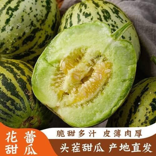 山东花美人甜瓜头茬八里香瓜水果现摘脆瓜香瓜蜜瓜花蕾瓜整箱包邮