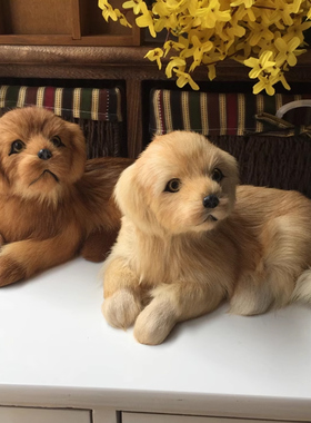 【仿真小狗】动物狗狗模型摆件皮毛金毛犬模型家居工艺装饰品