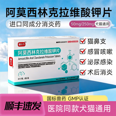 阿莫西林消炎药口炎杯状伤口泌尿