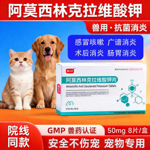 宠物消炎药感冒鼻支泌尿