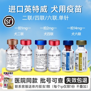荷兰进口英特威狗狗二联疫苗宠物成犬幼犬246联四联狂犬预防针
