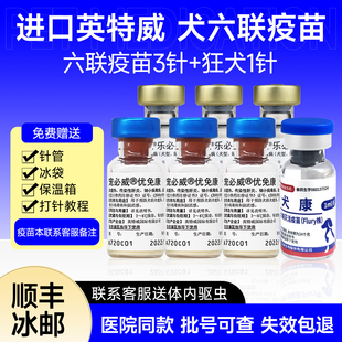 进口英特威梅里亚六联犬用6联防疫疫苗预防犬瘟细小钩端成犬幼犬