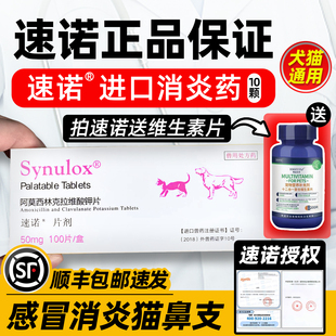 速诺猫消炎片猫狗阿莫西林克拉维酸钾片猫咪感冒药鼻支咳嗽幼猫狗