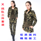 迷彩服三件套装 女 针织弹力棉休闲军迷军训广场舞水兵舞迷彩服套装