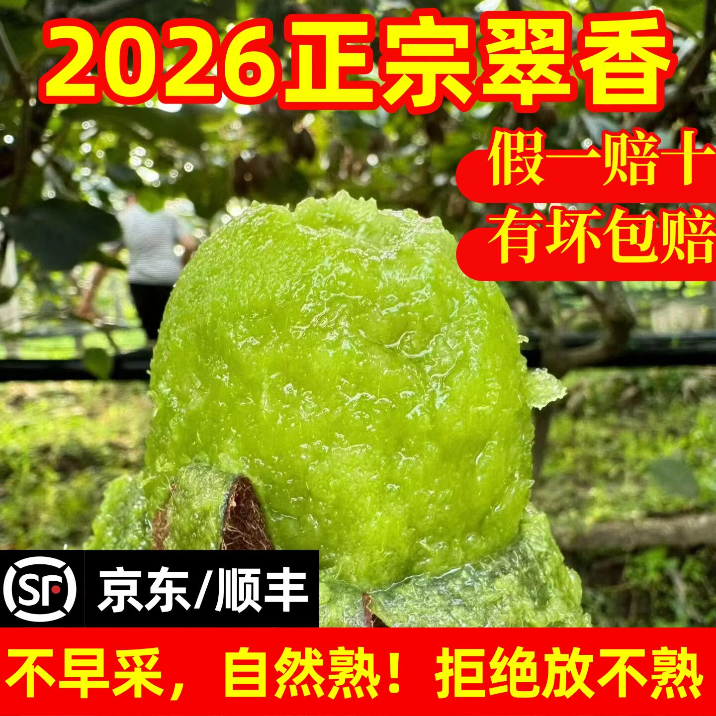 一口就沦陷陕西周至翠香猕猴桃