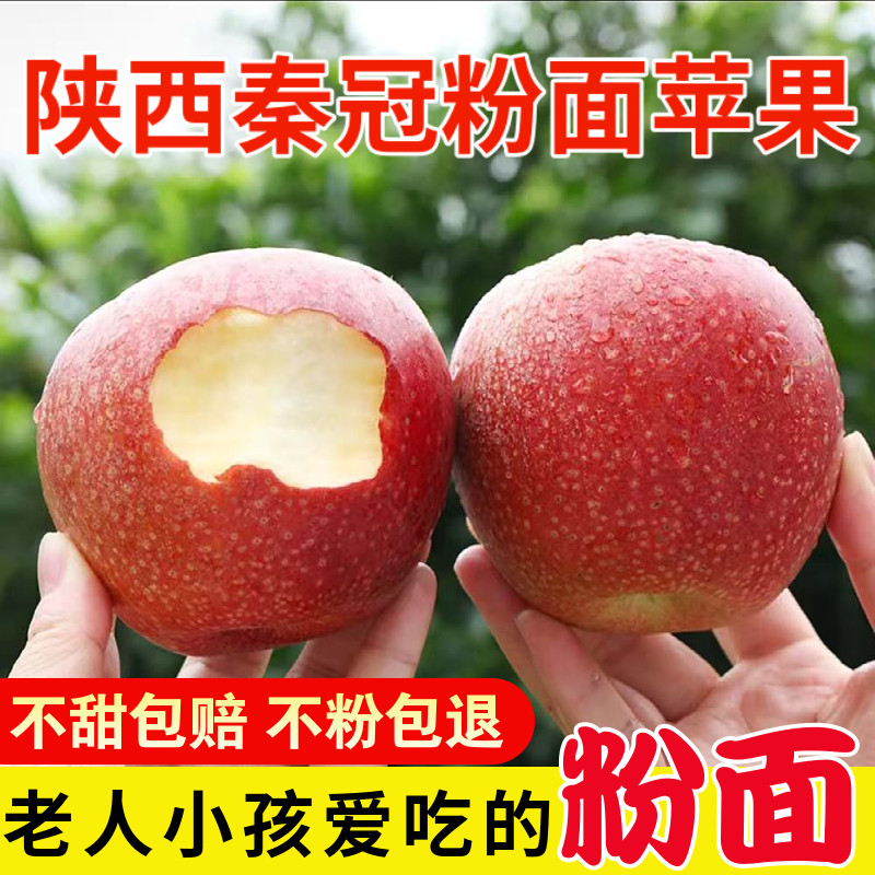 陕西高原红秦冠苹果沙甜新鲜水果老人小孩宝宝可刮果泥的粉面苹果