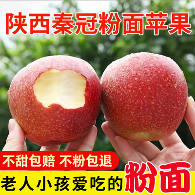 陕西高山40年老品种粉面苹果