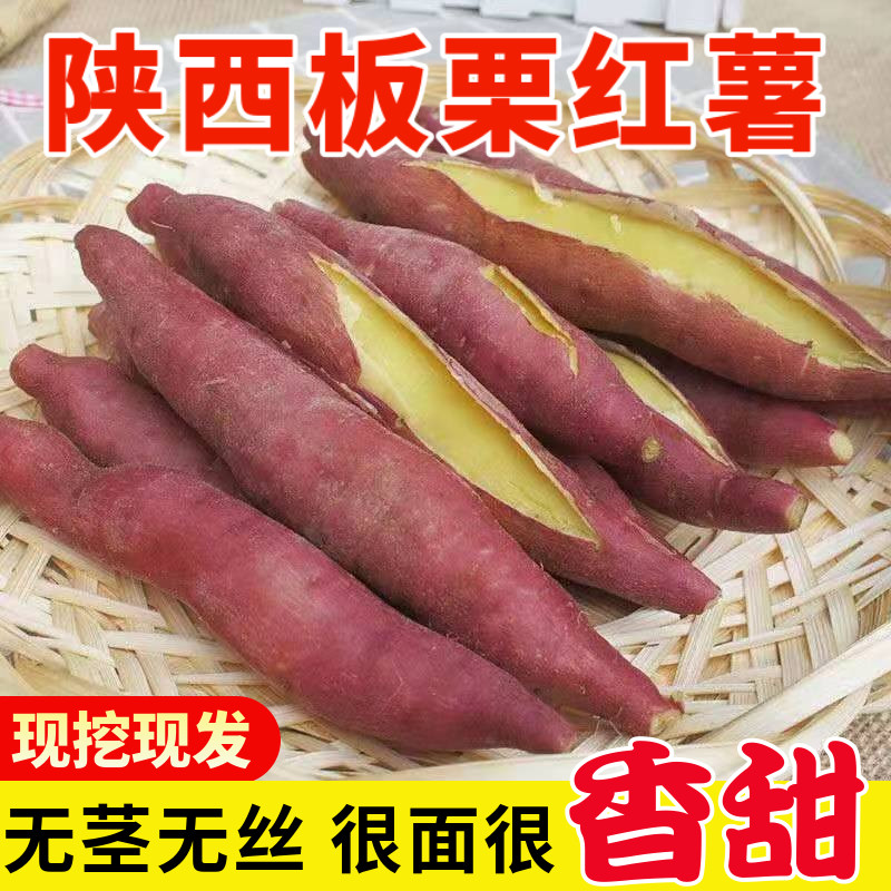 【优质货源】【陕西板栗红薯】