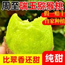 陕西周至瑞玉猕猴桃即食纯甜无酸泥猴桃新鲜适合老人小孩的奇异果