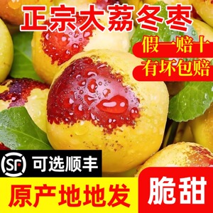 正宗陕西大荔冬枣原产地现摘现发