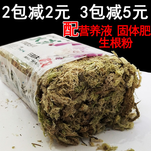 水苔种多肉价格 水苔种多肉图片 星期三