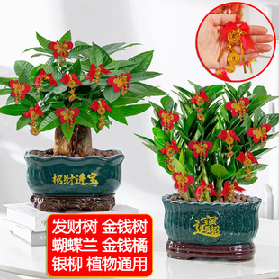 【满18元包邮】年宵花饰品新年金元宝铜钱蝴蝶结挂件银柳冬青装饰