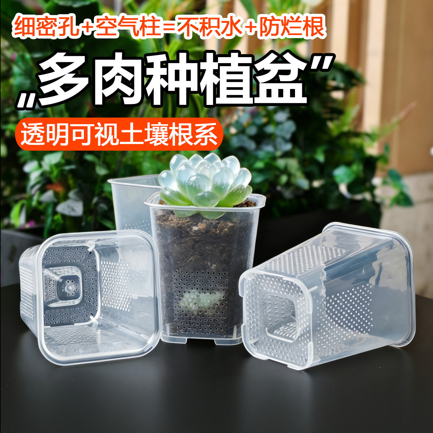 方口细孔强透气不漏根多肉小花盆