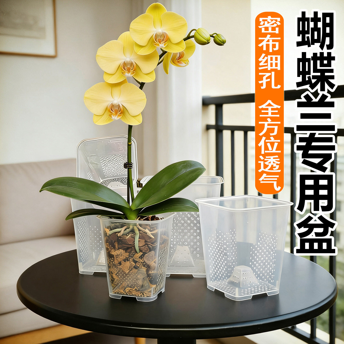 加厚透明方口透气蝴蝶兰专用花盆