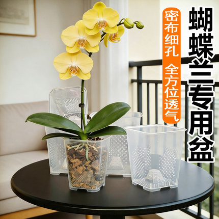 【360°透气供氧不闷根】透明方形通风蝴蝶兰专用花盆 厚实树脂盆