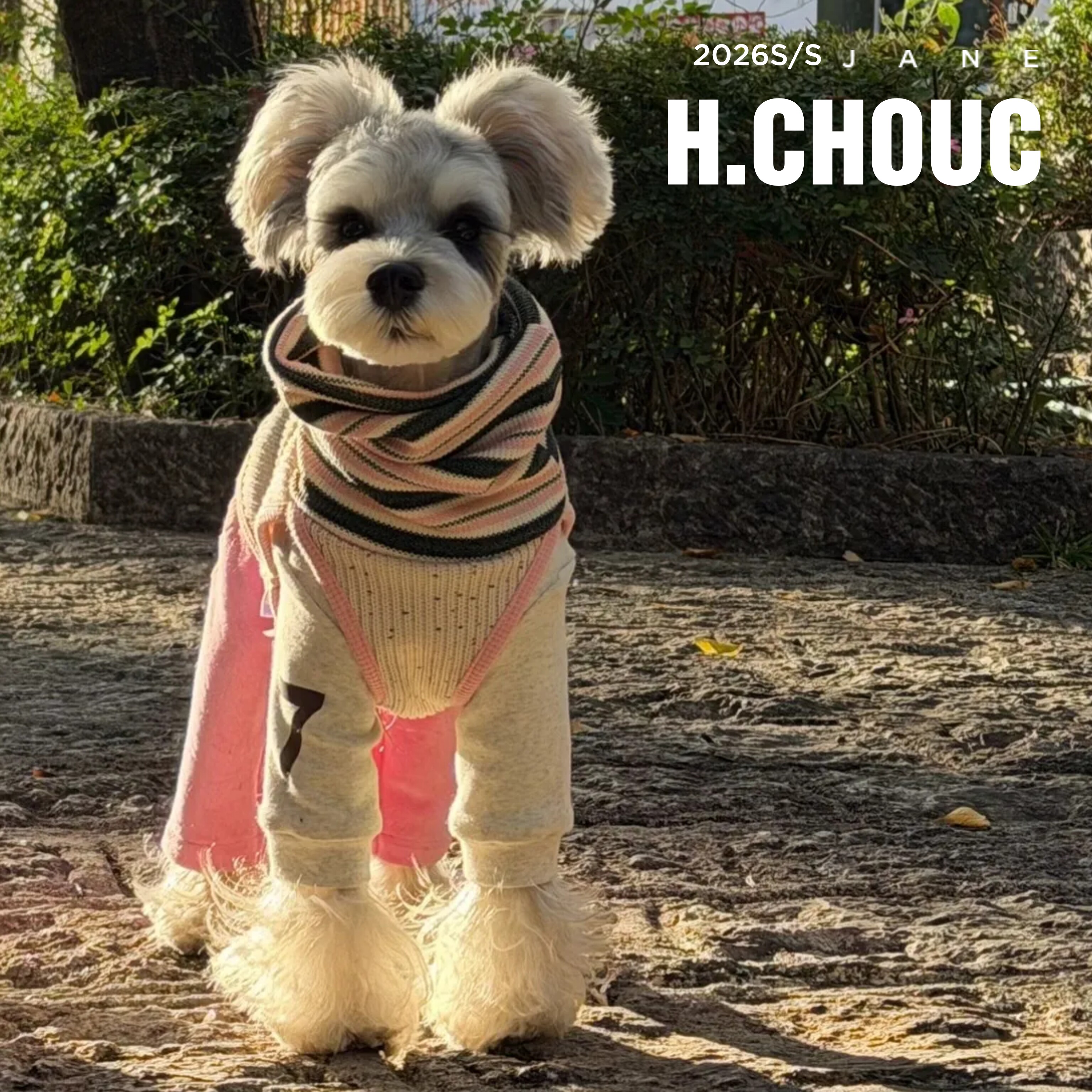 丑丑2026春季新款天鹅绒四脚衣泰迪狗狗衣服小型犬雪纳瑞比熊腊肠