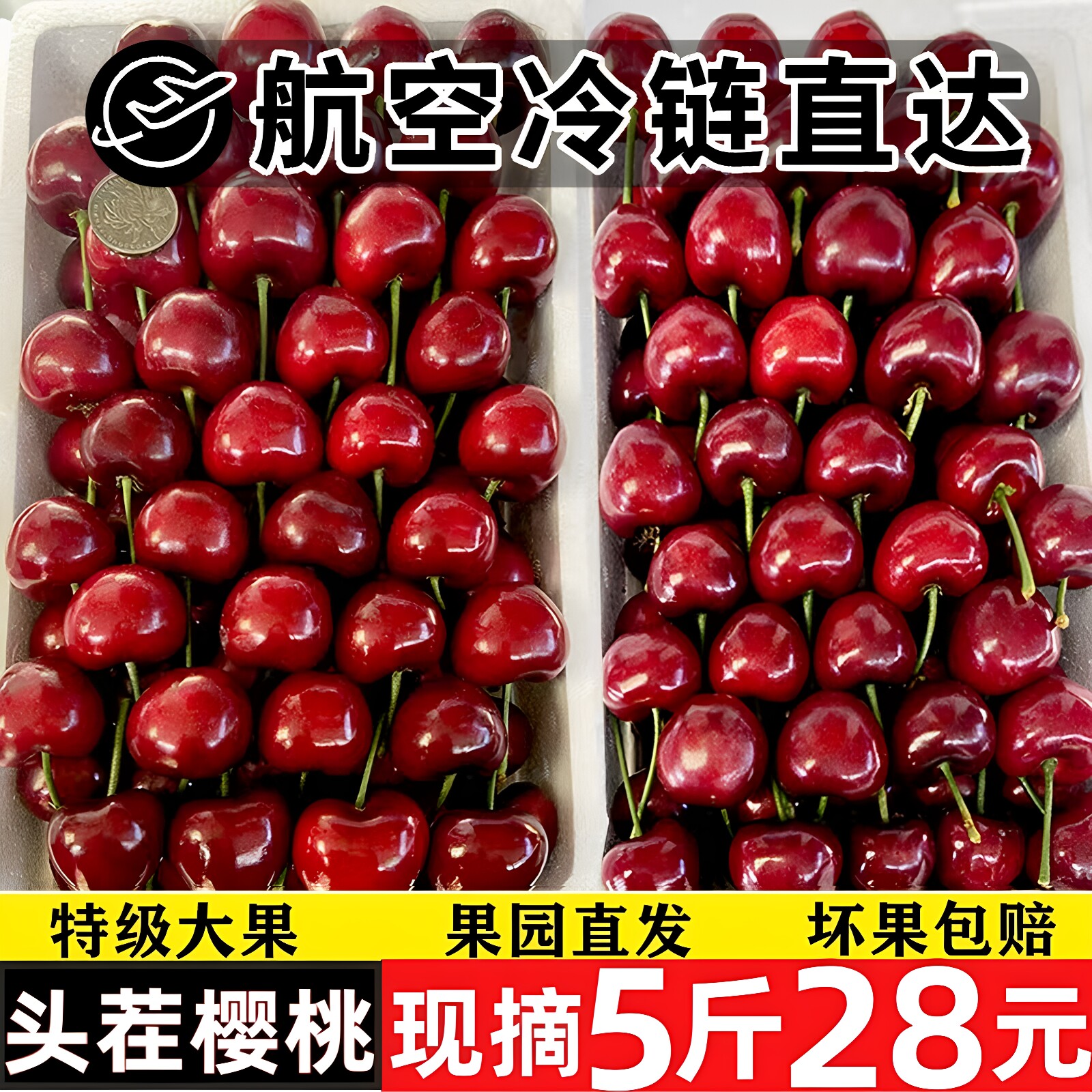 5A山东烟台美早大樱桃特大5斤