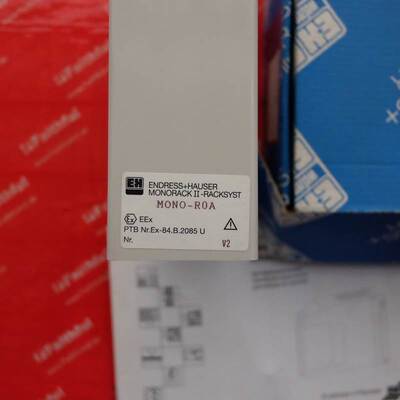 E+H MONO-R0A 恩德斯豪斯电路板 Endress Hauser