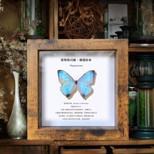 中空2厘米真玻璃相框蝴蝶昆虫标本框diy手工摆台装裱自装展示框