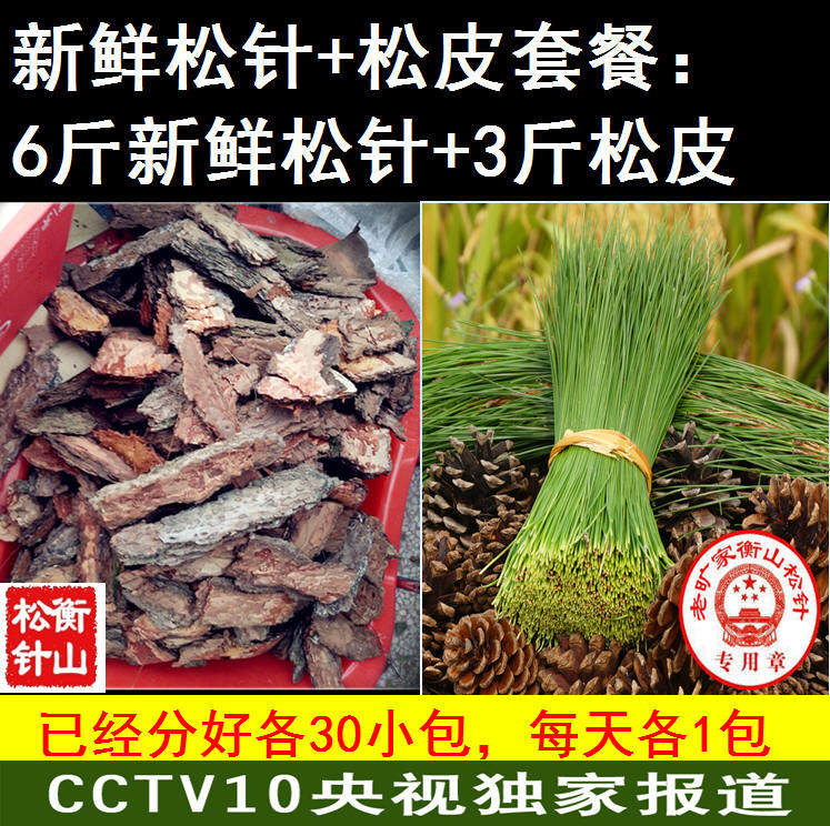 衡山马尾松针松针老旷家新鲜衡山马尾松松皮