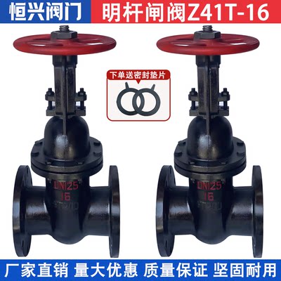 明杆法兰闸阀手动铸铁闸板阀