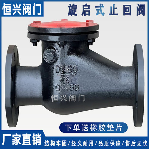 旋启式止回阀铸铁铜芯法兰止回阀