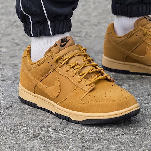 耐克（NIKE）正品男鞋 2025冬季新款运动鞋复古时尚低帮休闲板鞋
