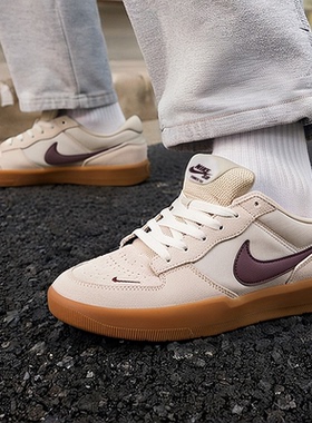 Nike耐克板鞋男鞋2025冬季新款SB FORCE 58复古运动休闲鞋DV5477