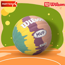 Wilson威尔胜儿童篮球撞色涂鸦款 五号球小学生训练比赛耐打橡胶球