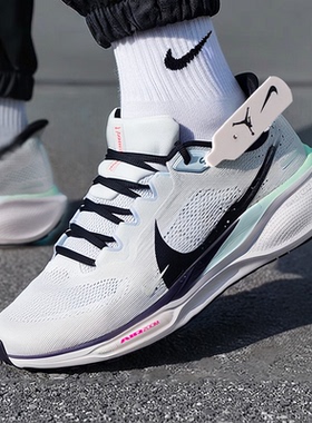 NIKE耐克飞马41网面跑步鞋男鞋春季新款减震透气跑鞋运动鞋IM6674