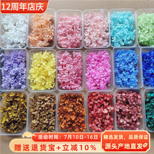 安娜永生花diy5克花万家xq