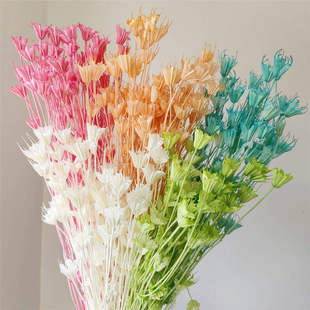 八角花干花森系复古插花材料包diy材料自然田园树枝装 饰品花篮